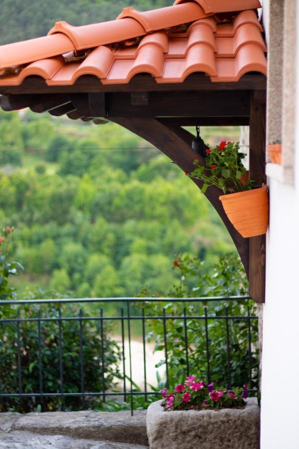 Quinta Do Tapadinho - Wine & Tourism Villa Moimenta Ngoại thất bức ảnh