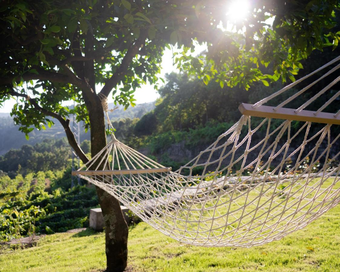 Quinta Do Tapadinho - Wine & Tourism Villa Moimenta Ngoại thất bức ảnh