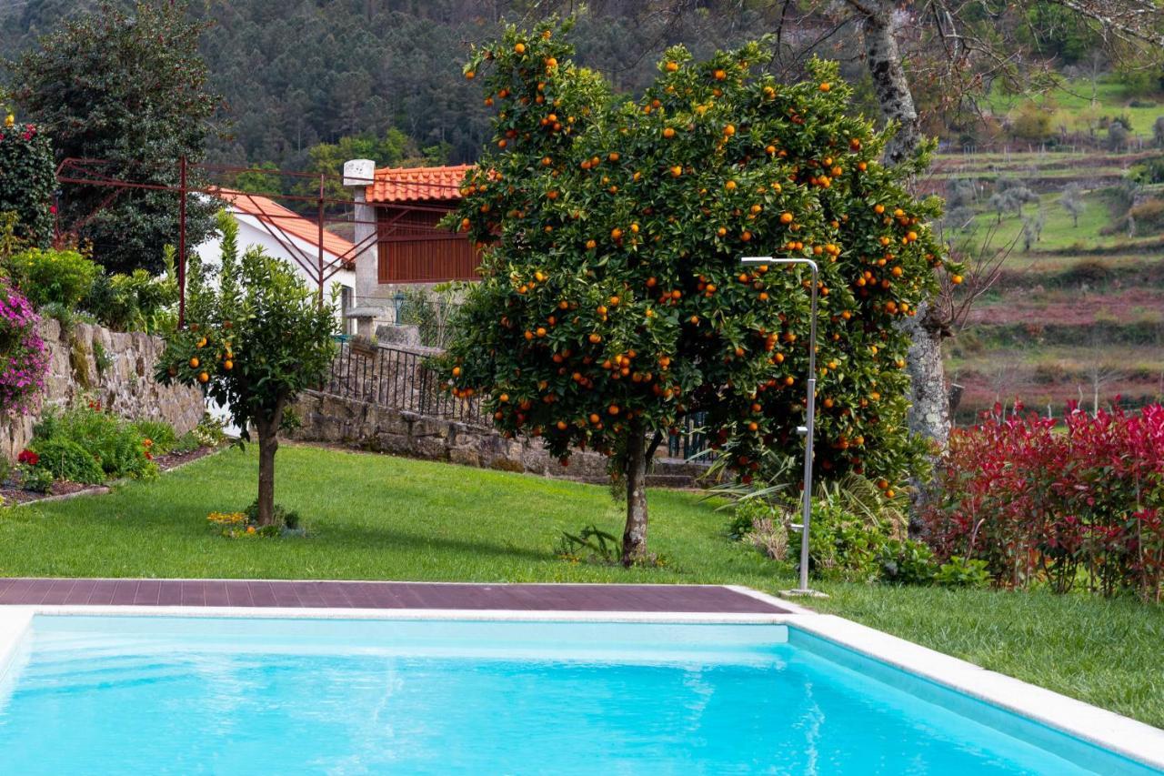 Quinta Do Tapadinho - Wine & Tourism Villa Moimenta Ngoại thất bức ảnh