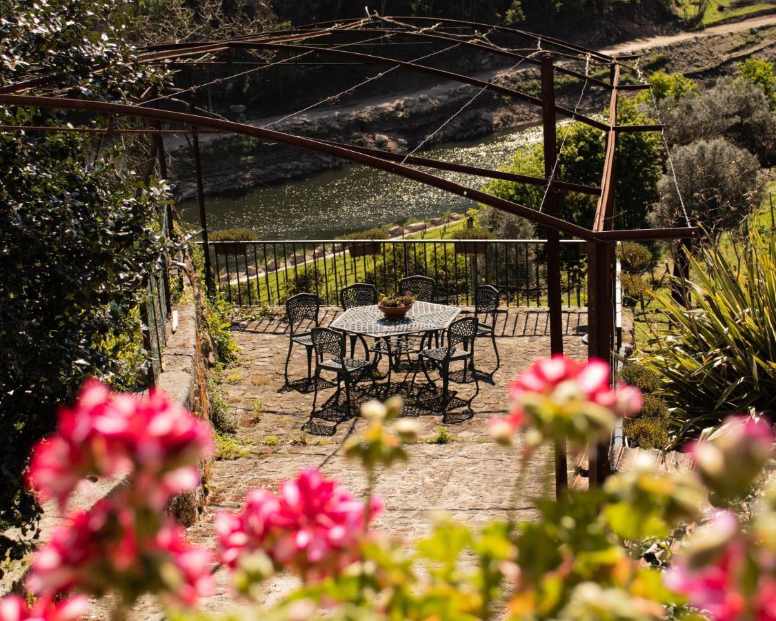 Quinta Do Tapadinho - Wine & Tourism Villa Moimenta Ngoại thất bức ảnh