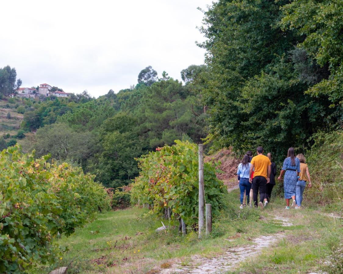 Quinta Do Tapadinho - Wine & Tourism Villa Moimenta Ngoại thất bức ảnh