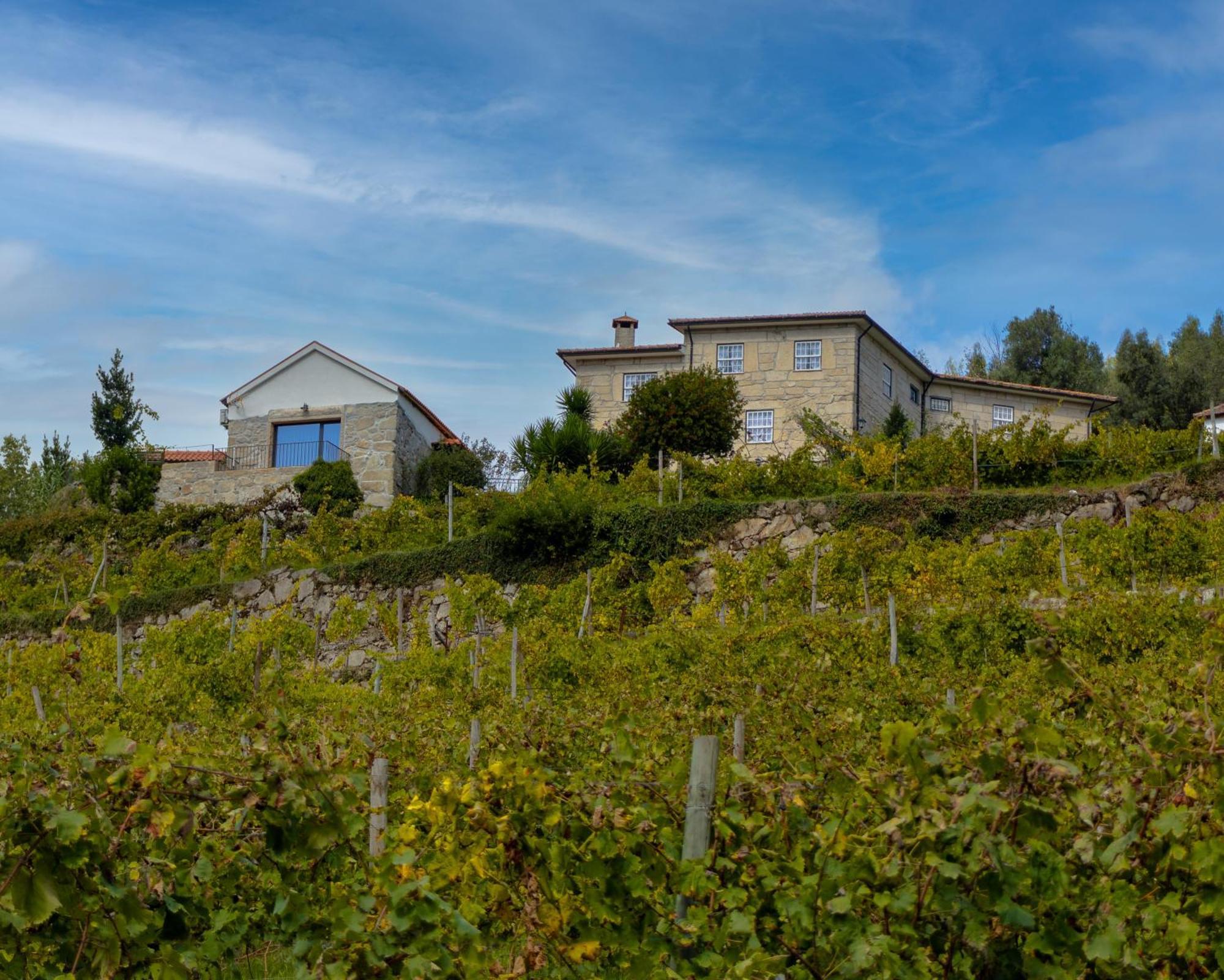 Quinta Do Tapadinho - Wine & Tourism Villa Moimenta Ngoại thất bức ảnh