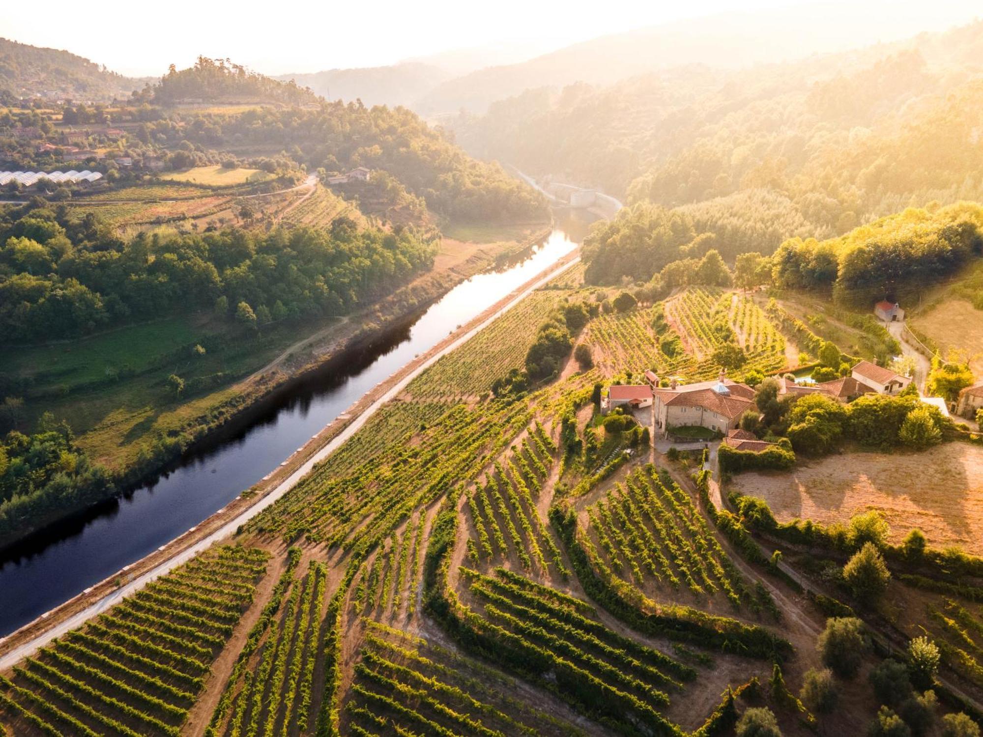 Quinta Do Tapadinho - Wine & Tourism Villa Moimenta Ngoại thất bức ảnh